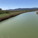 Avvio della consultazione su modifica delle mappe PGRA reticolo principale del fiume Bruna